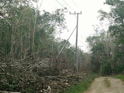 Jonan Ingin Semua Desa di RI Teraliri Listrik Mulai 2019