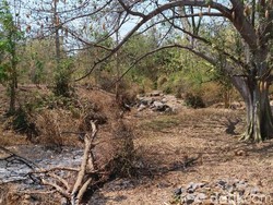 Desa di Banyuwangi Perbatasan Situbondo Dilanda Kekeringan