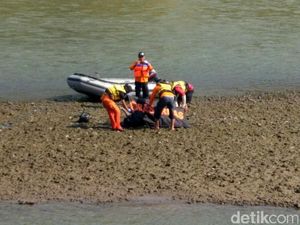 Terpeleset, Jasad Pencuci Hewan Kurban Ditemukan di Sungai Brantas