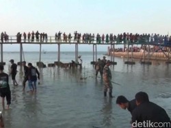 Cegah Abrasi Pantai Kutang, TNI dan Warga Labuhan Tanam Mangrove