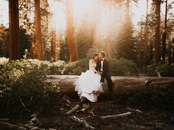 Nikah Gratis Bukan Hanya Mimpi, Ini Cara Agar Kamu Bisa Mendapatkannya