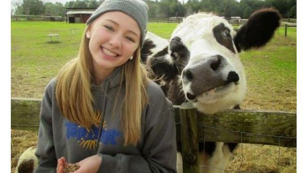 Bukan Kurban, Ini Potret Kelakuan Sapi yang Bikin Gemas