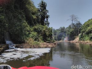 Puluhan Kantong Sampah Terkumpul dari Penyisiran Kali Ciliwung Puluhan Kantong Sampah Terkumpul dari Penyisiran Kali Ciliwung