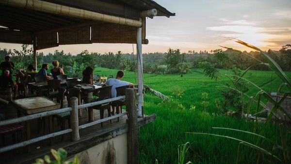 7 Restoran dengan Pemandangan Sawah yang Indah Ini Wajib Anda Datangi!