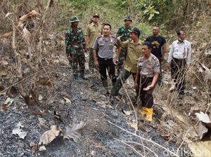 Terbakarnya Hutan Perhutani di Jember Masih Diselidiki Polisi