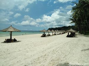 Jokowi Jadikan Bintan Kawasan Perdagangan Bebas 70 Tahun