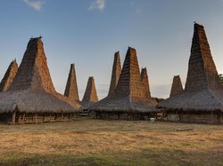 Liburan di Sumba, Kabarnya David Beckham Main ke Kampung Ini