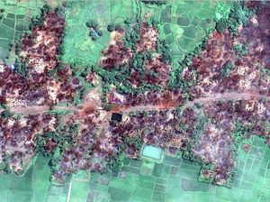 Begini Penampakan Rumah-rumah Warga Rohingya yang Hangus Dibakar