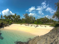 David Beckham Liburan di Sumba Selama 1 Minggu?