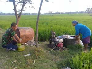 Petani Magetan Gunakan Elpiji untuk Bahan Bakar Pompa Air Sawah Petani Magetan Gunakan Elpiji untuk Bahan Bakar Pompa Air Sawah