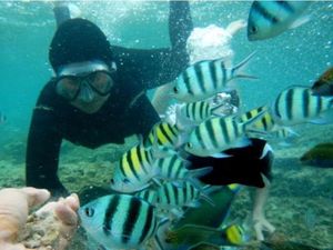 Pulau Pari Kepulauan Seribu Cantik Juga