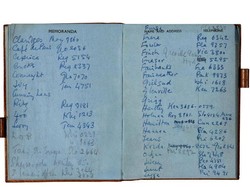 Buku Harian Vivien Leigh Gone with the Wind Dilelang Rp 51 Juta