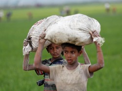 Seskab: Sebelum Rohingya Heboh, Presiden Jokowi Sudah Kirim Bantuan