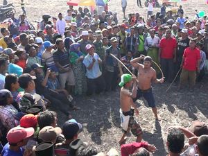 Tradisi Tarung Ojung, Pertarungan Sabet Rotan untuk Minta Hujan