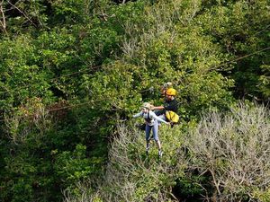 Bergelantungan Seperti Hanoman di Hutan Thailand