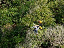 Bergelantungan Seperti Hanoman di Hutan Thailand