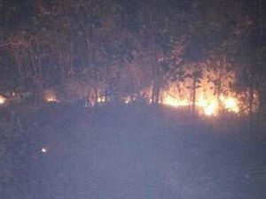 BKSDA Investigasi Penyebab Kebakaran 90 Ha Lahan Gunung Guntur