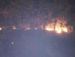 BKSDA Investigasi Penyebab Kebakaran 90 Ha Lahan Gunung Guntur