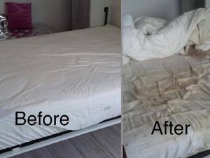 Joroknya! Disewakan ke Orang Asing, Kamar Ini Penuh Kotoran Manusia