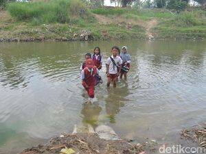 Siswa SD Cirebon Terobos Sungai, Pemerintah Janji Bangun Jembatan