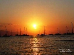 Pesona Lumba-Lumba Hidung Botol dalam Festival Lovina 2017