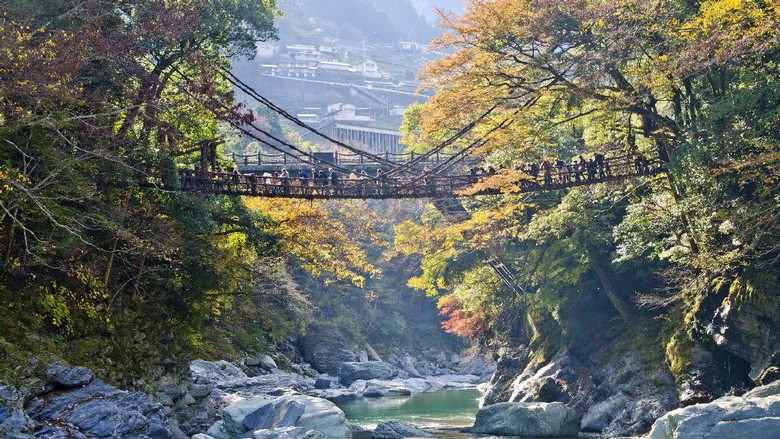 Pulau Shikoku yang cantik (Thinkstock) Pulau Shikoku yang cantik (Thinkstock)