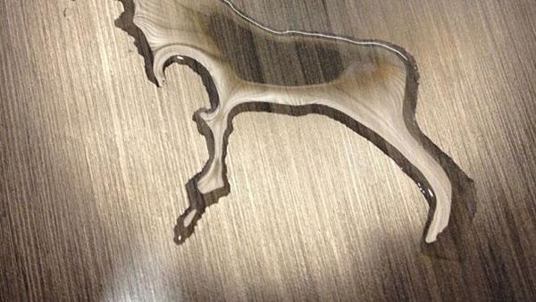 Tanpa Sengaja, Tumpahan Kopi hingga Air Ini Berbentuk Mata hingga Rusa!