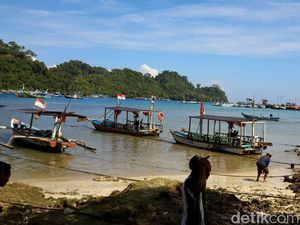 PROFAUNA Tolak Wacana Penurunan Status Cagar Alam Pulau Sempu PROFAUNA Tolak Wacana Penurunan Status Cagar Alam Pulau Sempu