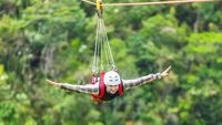 Flying Fox