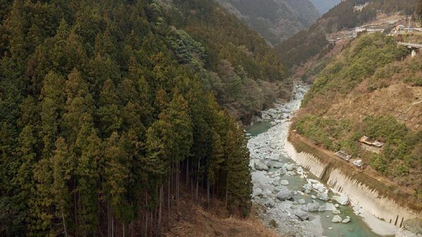 Foto: Si Perawan Cantik di Jepang