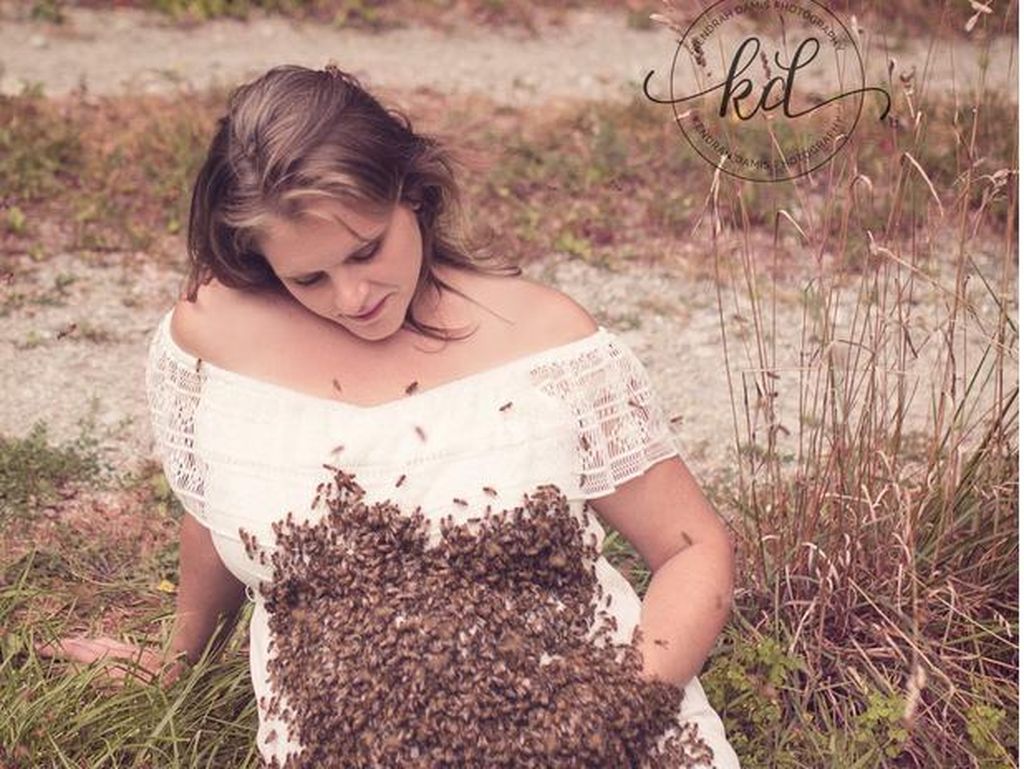 Foto: Tertarik Maternity Photoshoot Bareng Lebah Seperti Ini?