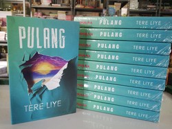 Polemik Tingginya Pajak Penulis, Tere Liye Tetap Terbitkan Buku Lewat Medsos