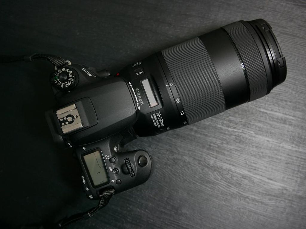 Canon EF 70-300mm, Lensa yang Cepat dan Senyap