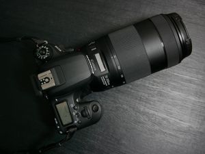 Canon EF 70-300mm, Lensa yang Cepat dan Senyap Canon EF 70-300mm, Lensa yang Cepat dan Senyap