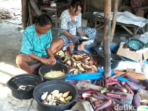 Di Lamongan, Jantung Pisang Bisa Diolah Jadi 10 Macam Makanan