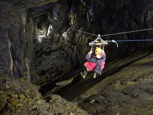 Lho, Flying Fox Kok di Dalam Gua?