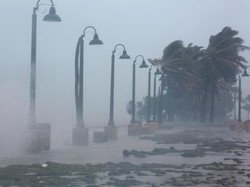 8 Orang Tewas Akibat Badai Irma