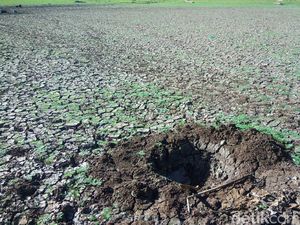 2 Kabupaten di DIY Siaga Darurat Kekeringan