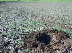 2 Kabupaten di DIY Siaga Darurat Kekeringan