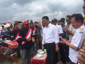 Kementan Genjot Produksi Beras dan Jagung di Sulsel