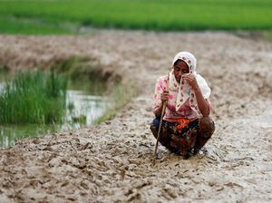 Siapa Mau Terima Rohingya