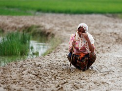 Siapa Mau Terima Rohingya