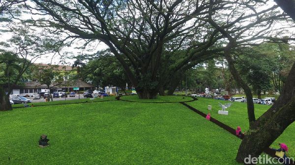 Wisata Labirin di Kantor Wali Kota Ridwan Kamil