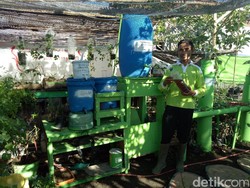 Kotoran Hewan dan Limbah Rumah Disulap jadi Pupuk Cair