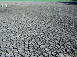 Atasi Kekeringan di Gunungkidul, BPBD Ambil Air di Wonogiri