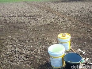 Tiga Kabupaten di DIY Terdampak Kekeringan