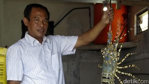 Ini Hasil Kerja Keras Mitra Binaan Semen Indonesia