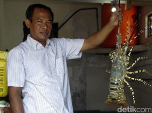 Ini Hasil Kerja Keras Mitra Binaan Semen Indonesia Ini Hasil Kerja Keras Mitra Binaan Semen Indonesia