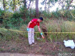 Duh Teganya! Mayat Bayi Dibuang di Semak-semak di Purworejo