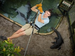 Walah, Flying Fox di Atas Kandang Buaya